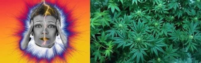 Marijuana And Migraines