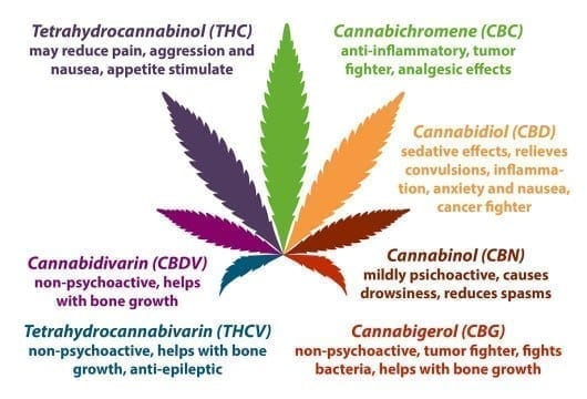 Marijuana Edibles: Pros And Cons - And Tips For When You're Too High