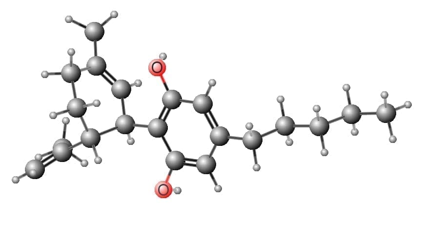 Cannabidiol Molecule