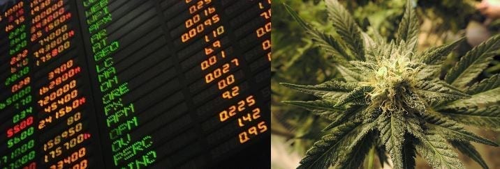 Investing In Marijuana Stocks