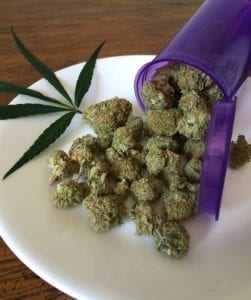 A Plate Full Of Marijuana