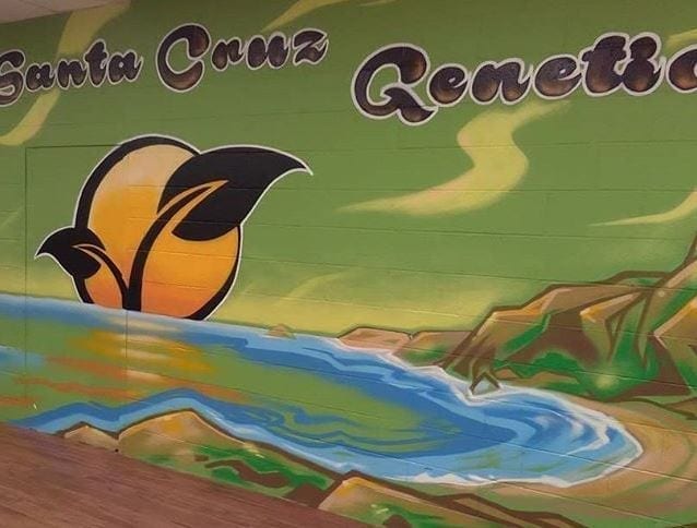 Wall Painting At Santa Cruz Genetics
