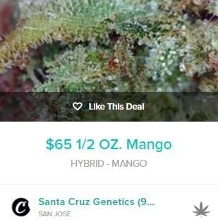 Half Ounce Deal Of Mango Hybrid At Santa Cruz Genetics.