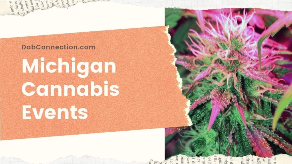 See Cannabis Events Michigan 2020 Don't Miss Out!