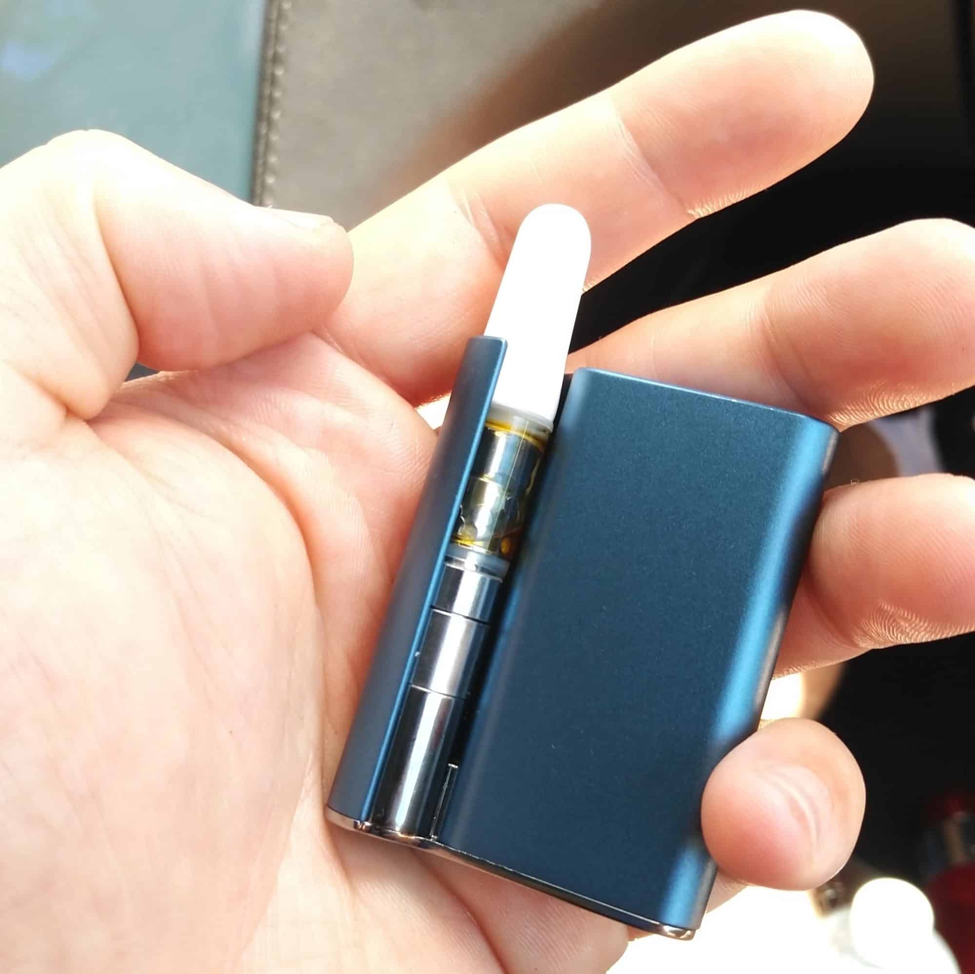 Ccell palm review
