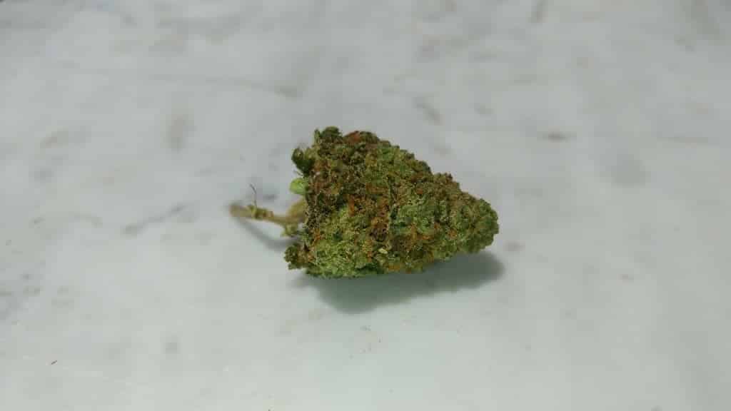 Polaris Mmj Head Cheese Review Great Quality Flower Cheesy Taste