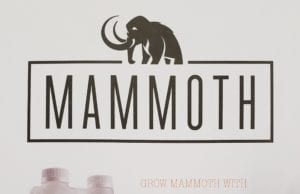 Mammoth Mammoth P Business Review