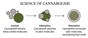 Science of Cannabolish