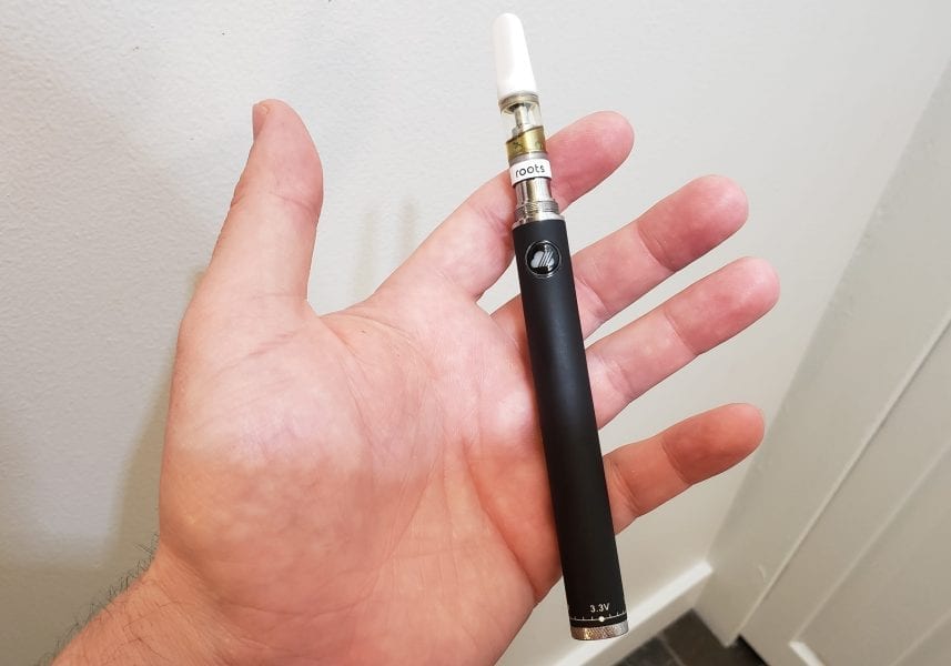steamcloud evod review