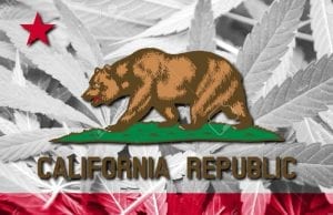 california flag with weed motif