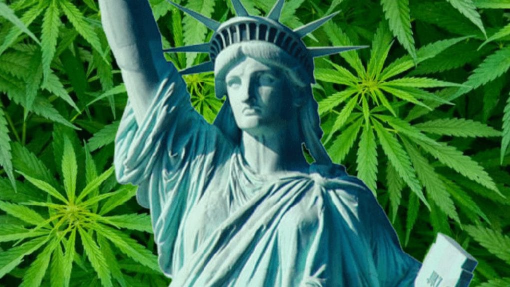 statue of liberty over fields of cannabis
