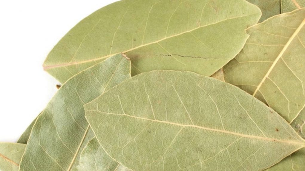 myrcene is also found in bay leaves