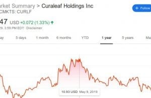 Curaleaf stock record for year ending October 2019