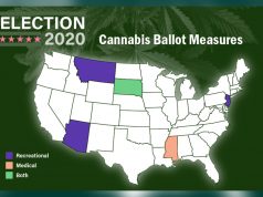 US_2020_election_cannabis_states