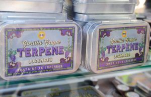 terpenes_and_cannabis