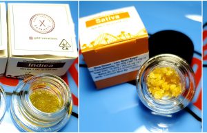 831 extracts review