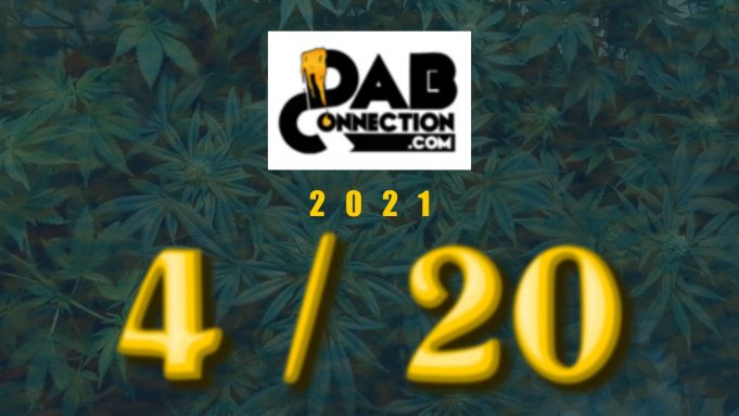 Dab_Connection_420-2021