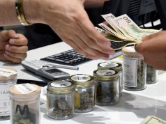 cash_for_cannabis