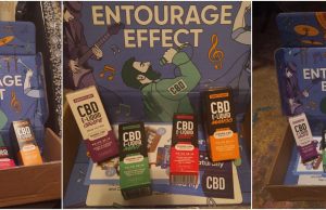 entourage-effect-review-1536x591