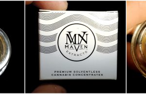 maven extracts live rosin review