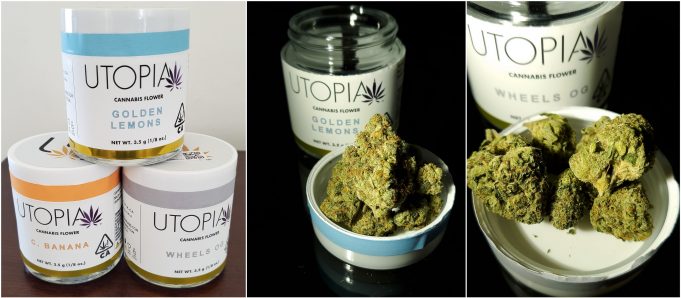 utopia flower review