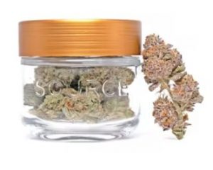 Source-Cannabis-Lavender-Sky
