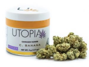 Utopia-Cannabis-C-Banana