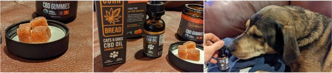 cornbread gummies review