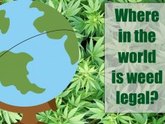 international-cannabis-legalization