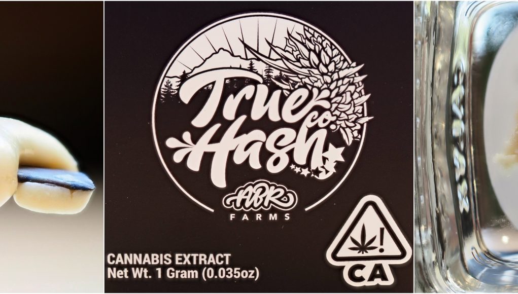 true hash rosin review