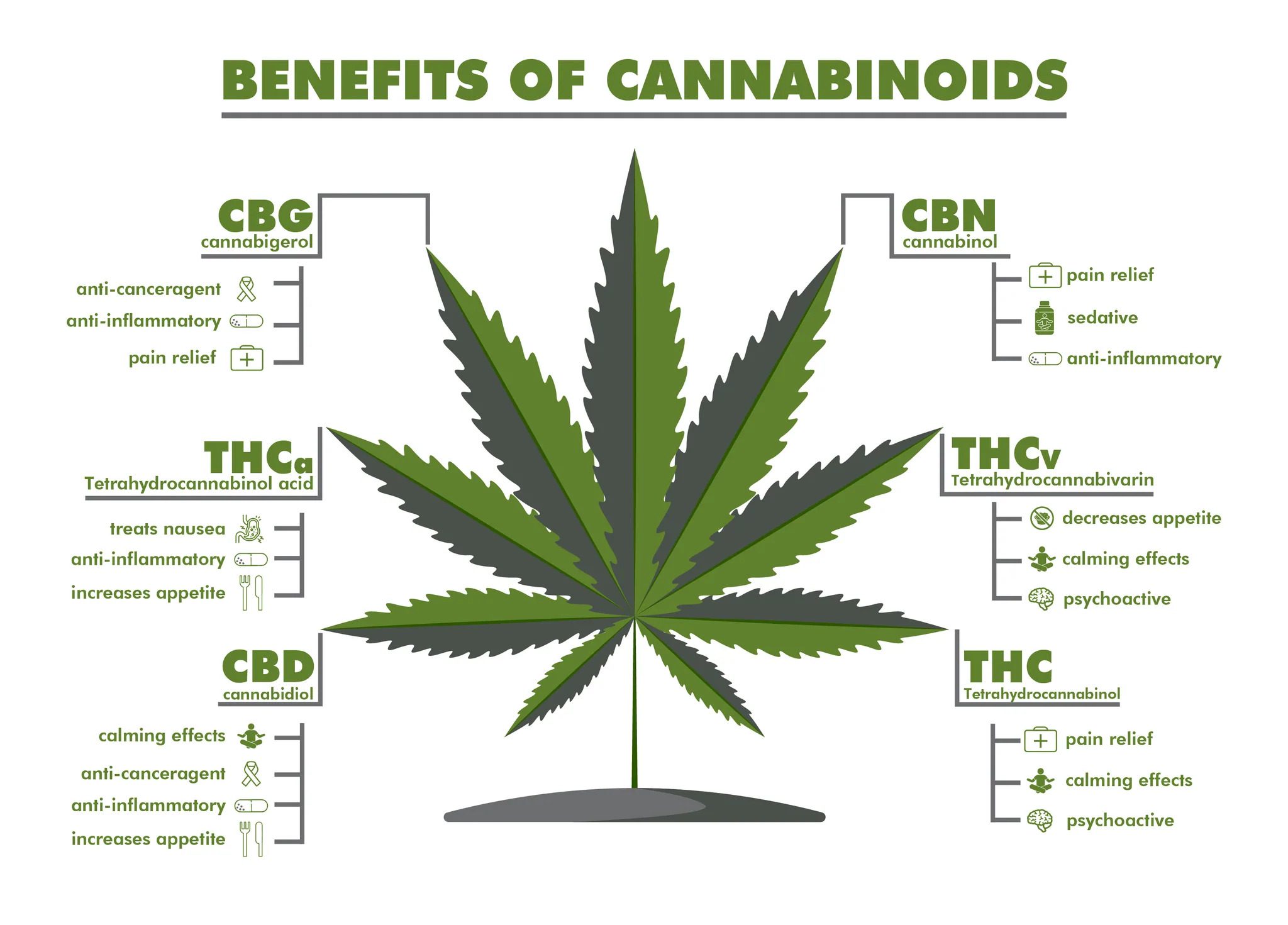 THC_leaf_cannabinoid_benefits