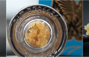 claybourne extracts review
