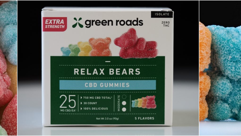 relax bears review