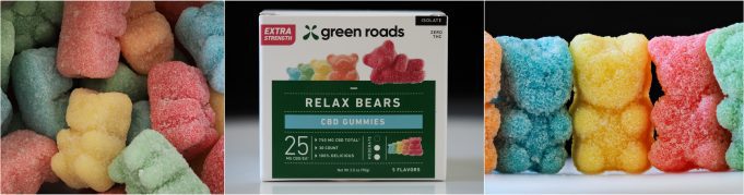 relax bears review