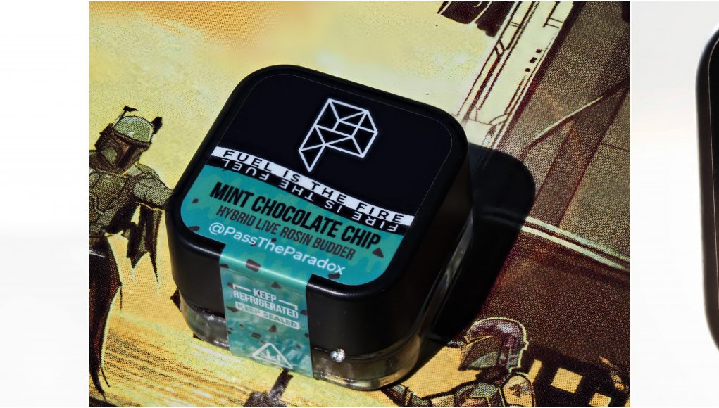 paradox rosin review