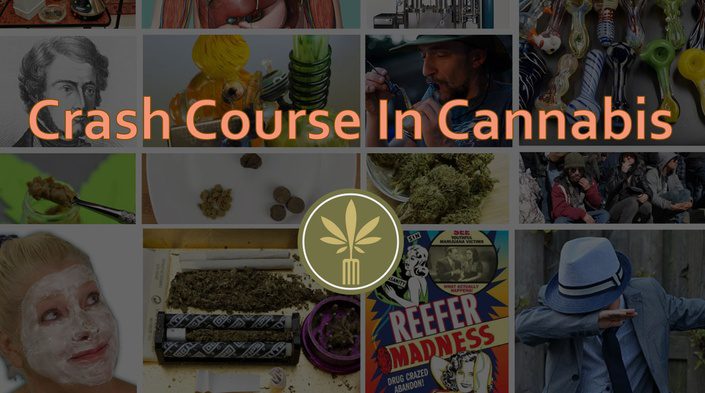 cannabis crash course