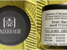 Anthologie flower review