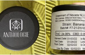 Anthologie flower review