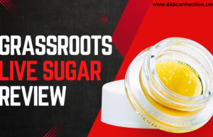 grassroots live sugar review