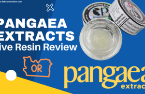 pangaea extract review