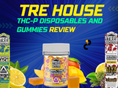 tre house disposables thcp review